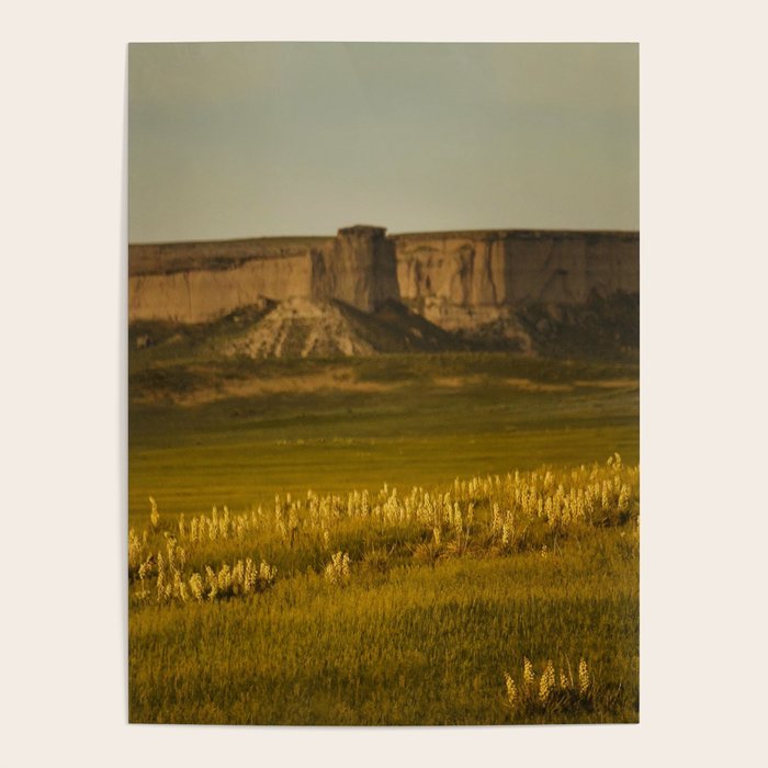 Wyoming Wildflowers Poster Gallery Image 4