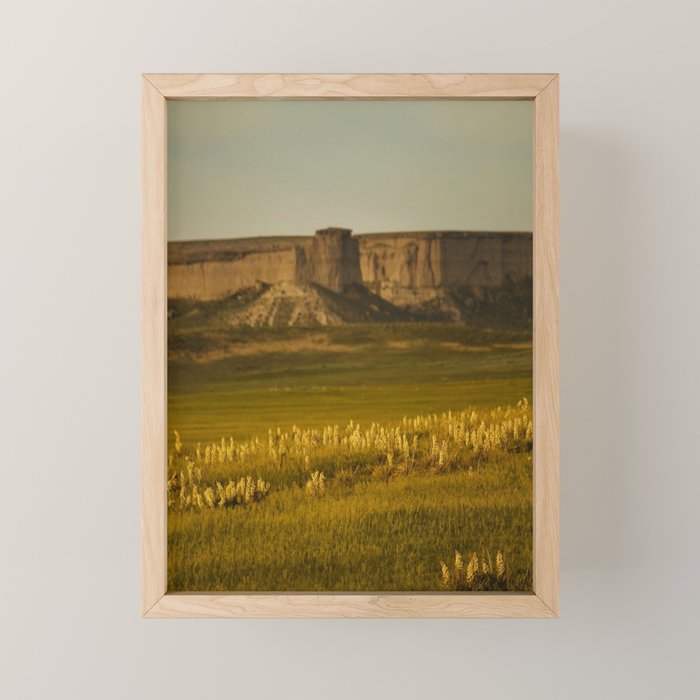 Wyoming Wildflowers Mini Art Print Gallery Image 1