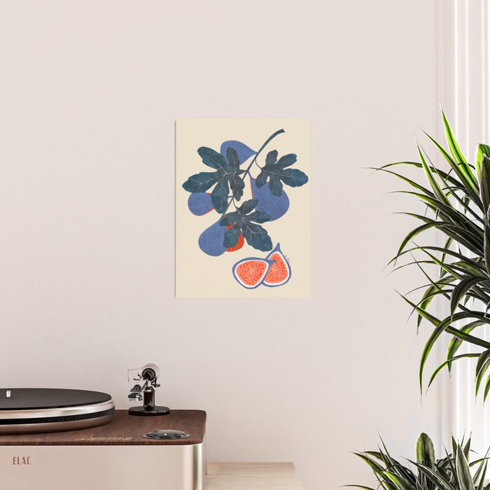 Fig branch still life Poster Gallery Image 2