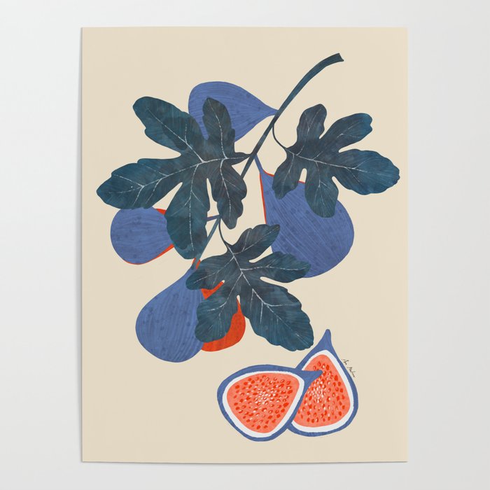Fig branch still life Poster Gallery Image 4