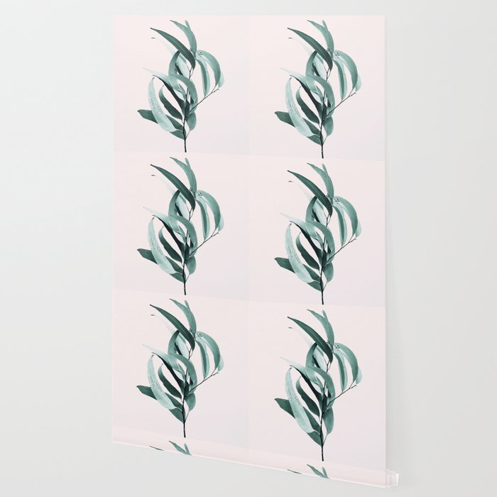 Eucalyptus II - Australian gum tree Wallpaper Gallery Image 2