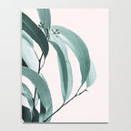 Eucalyptus II - Australian gum tree Notebook Gallery Image 4