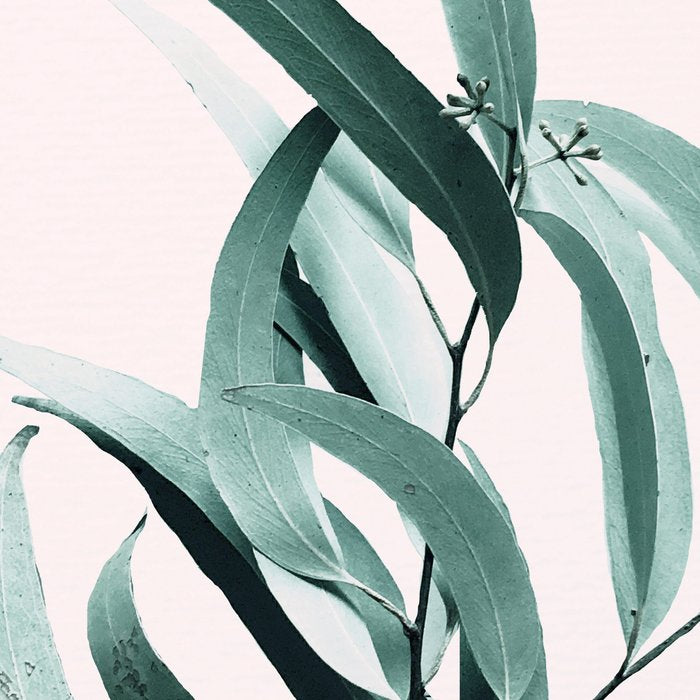 Eucalyptus II - Australian gum tree Coffee Mug Gallery Image 2