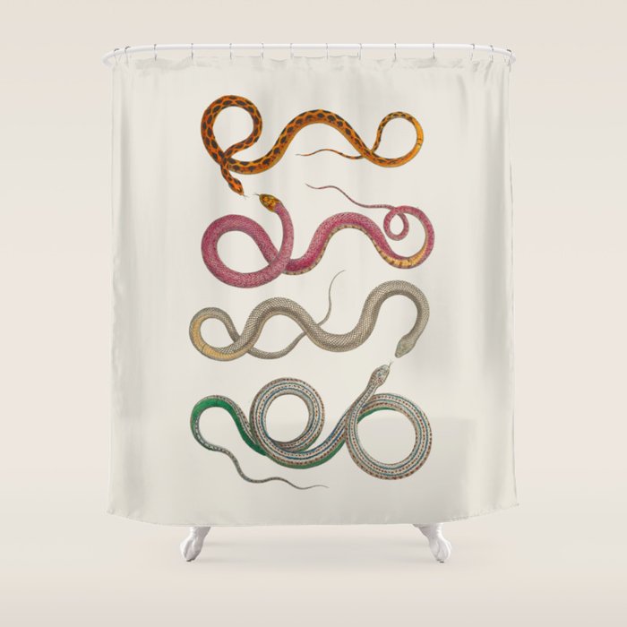 Albertus Seba Snakes Illustration Leopard Snake  Shower Curtain Gallery Image 1