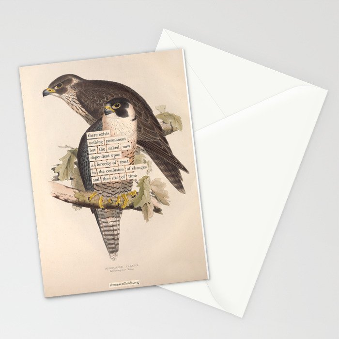 Bird Divinations: Peregrine Falcon (about: almanacofbirds.org) Stationery Card Gallery Image 2