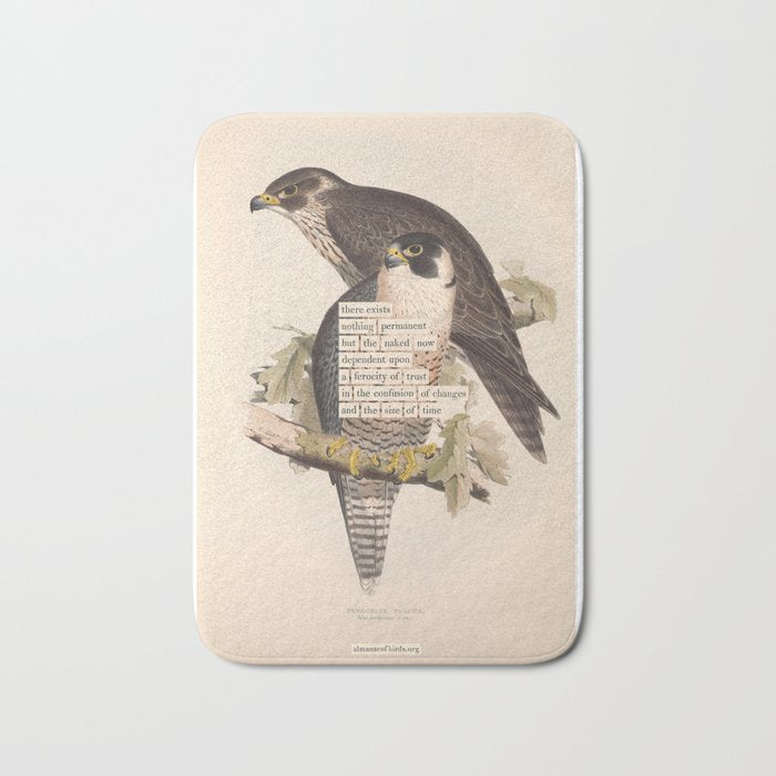 Bird Divinations: Peregrine Falcon (about: almanacofbirds.org) Bath Mat Gallery Image 1