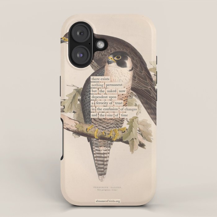 Bird Divinations: Peregrine Falcon (about: almanacofbirds.org) iPhone Case Gallery Image 1