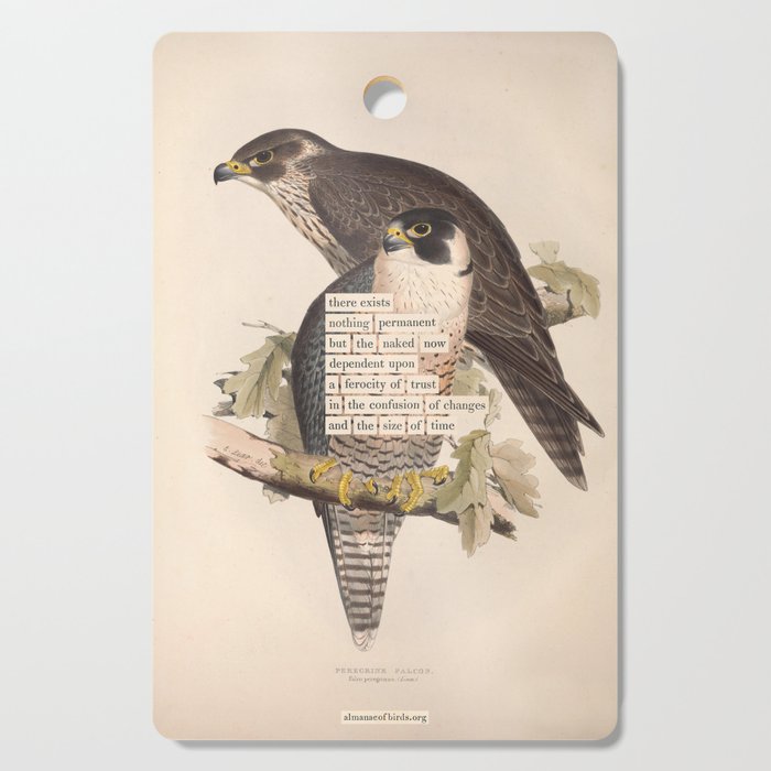 Bird Divinations: Peregrine Falcon (about: almanacofbirds.org) Cutting Board Gallery Image 1