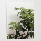 Grown Poster Gallery Image 4