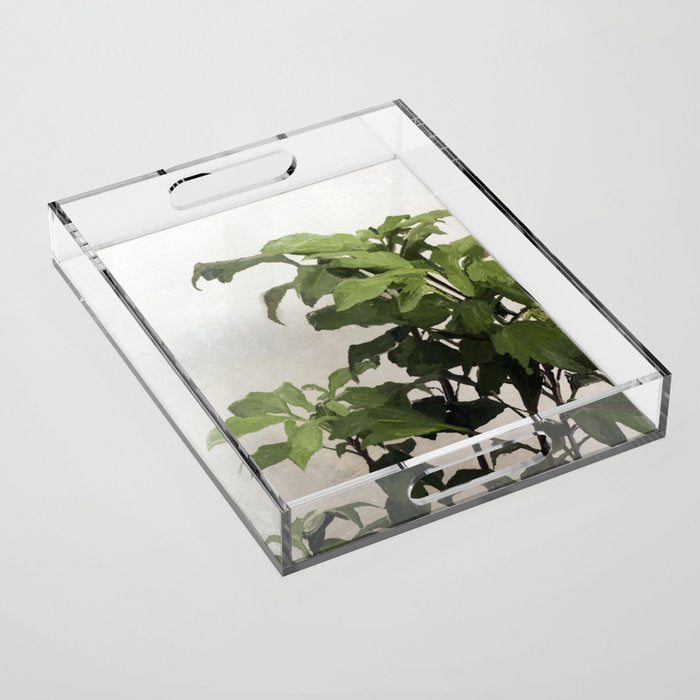 Grown Acrylic Tray Gallery Image 1