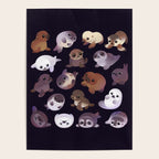 Seal pup - dark Poster Gallery Image 4