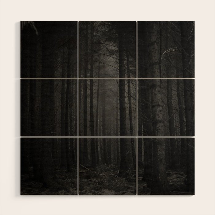 The Dense & Foggy Forest (Black and White) Wood Wall Art Gallery Image 1