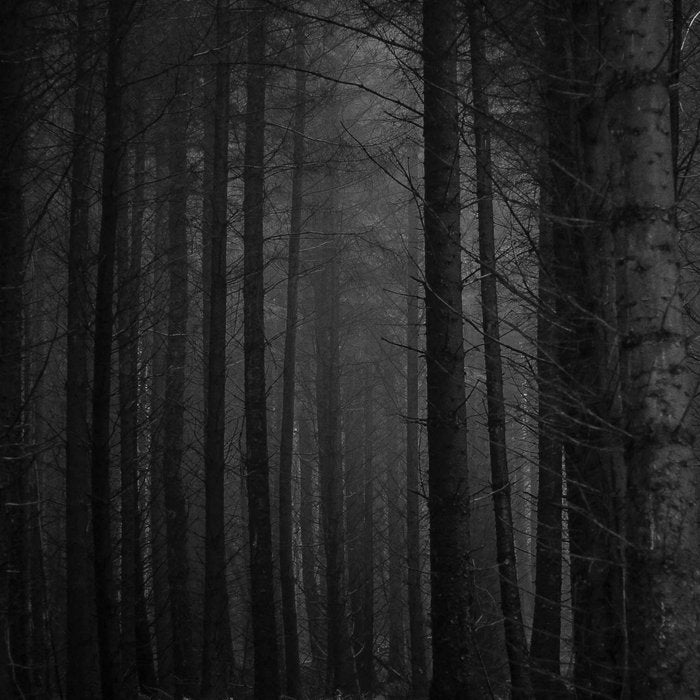 The Dense & Foggy Forest (Black and White) Coffee Mug Gallery Image 2