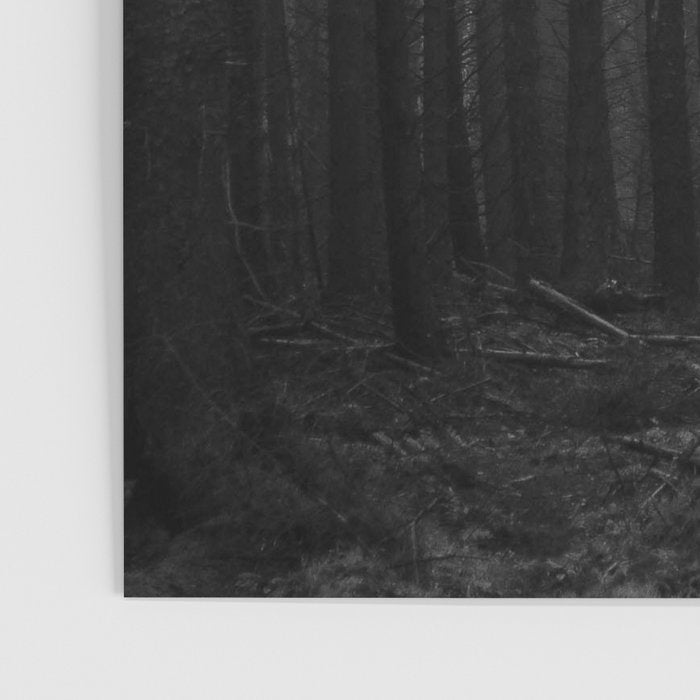 The Dense & Foggy Forest (Black and White) Poster Gallery Image 3