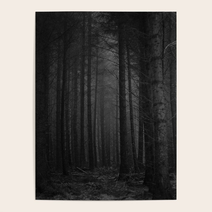 The Dense & Foggy Forest (Black and White) Poster Gallery Image 1