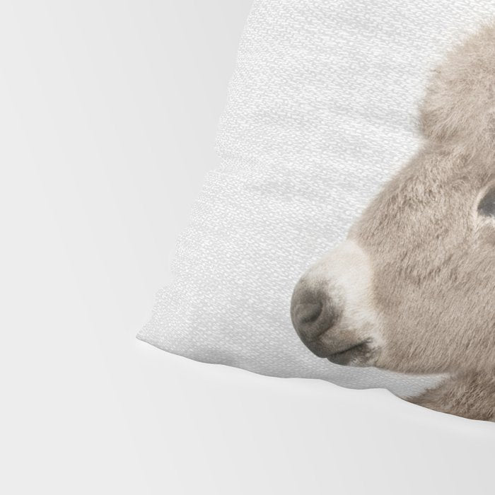 Donkey - Colorful Pillow Sham Gallery Image 4