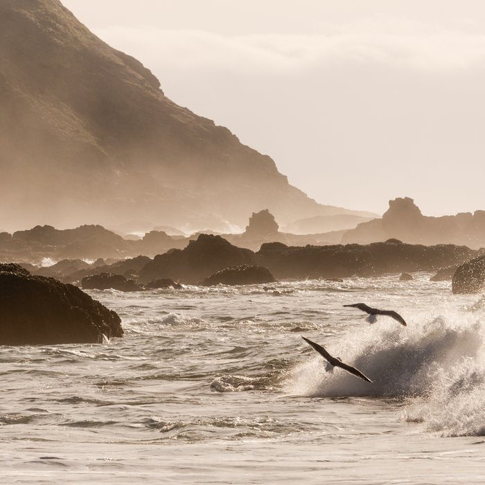 Pacific Coast Summer Beach Sunset Coffee Mug Gallery Image 2