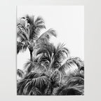 Big Island Palms - Black and White Photography, Tropical Nature Poster Gallery Image 4