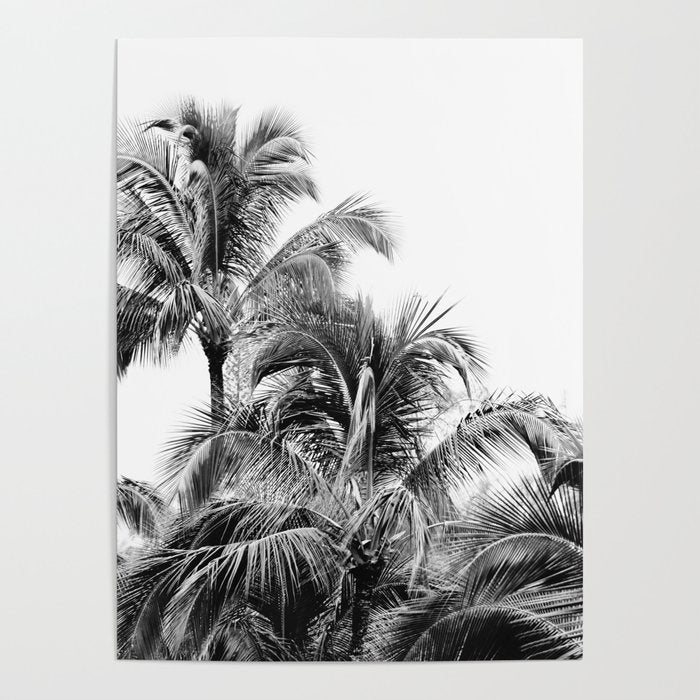 Big Island Palms - Black and White Photography, Tropical Nature Poster Gallery Image 4