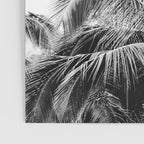 Big Island Palms - Black and White Photography, Tropical Nature Poster Gallery Image 3