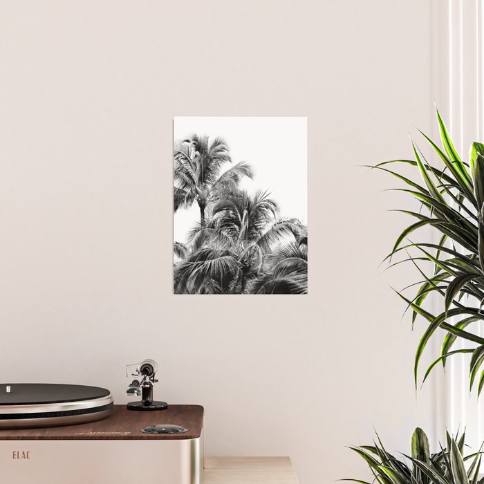 Big Island Palms - Black and White Photography, Tropical Nature Poster Gallery Image 2
