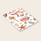 Shell collection Notebook Gallery Image 3