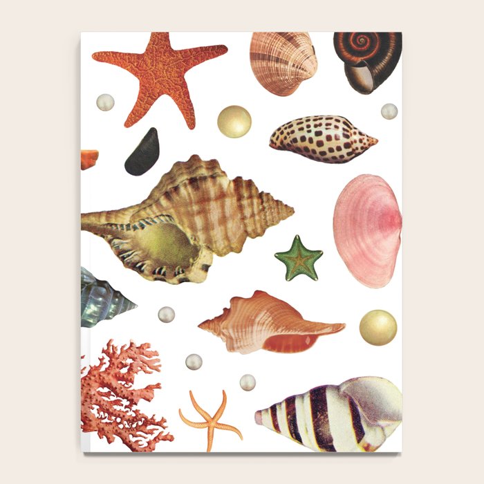 Shell collection Notebook Gallery Image 4