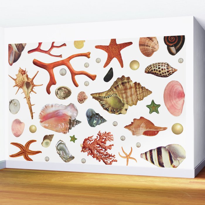 Shell collection Wall Mural Gallery Image 2