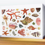 Shell collection Wall Mural Gallery Image 2