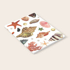 Shell collection Notebook Gallery Image 2
