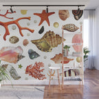 Shell collection Wall Mural Gallery Image 1