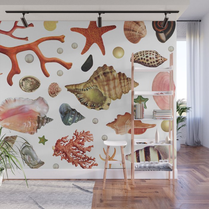 Shell collection Wall Mural Gallery Image 1
