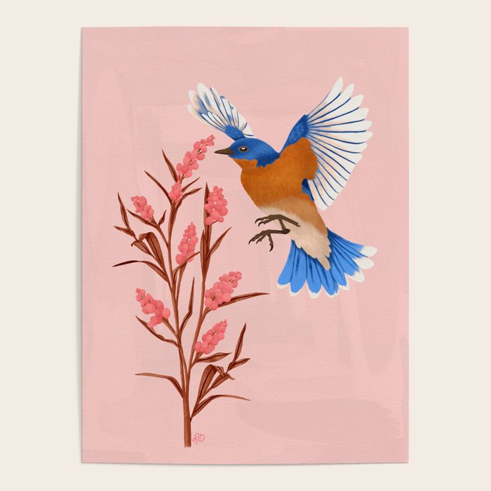 Graceful Bluebird in Flight Poster Gallery Image 4