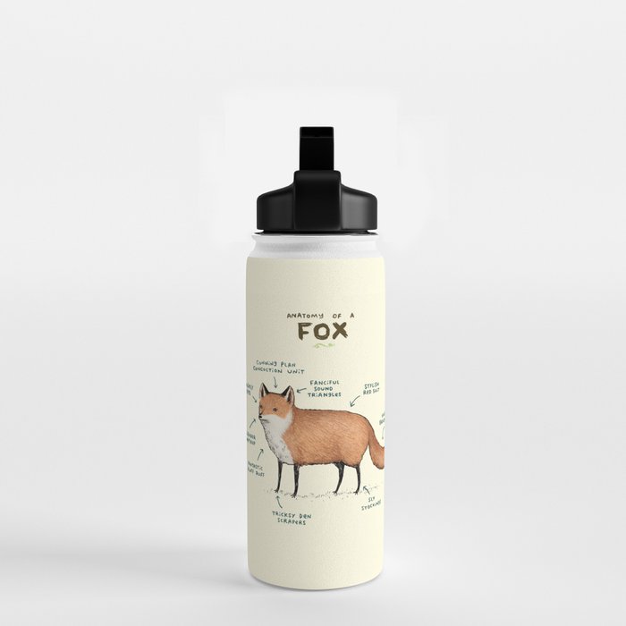 Anatomy of a Fox Water Bottle Gallery Image 2