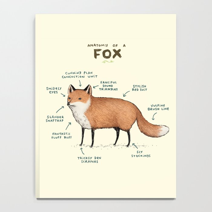 Anatomy of a Fox Notebook Gallery Image 4
