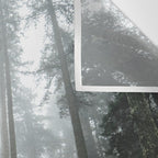 The Redwood Road Wall Tapestry Gallery Image 3