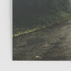 The Redwood Road Poster Gallery Image 3