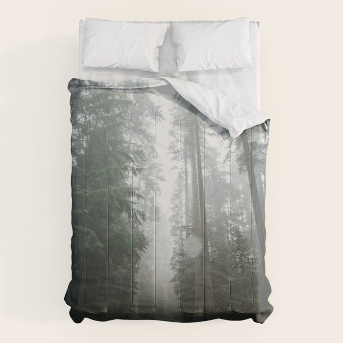 The Redwood Road Comforter Gallery Image 6