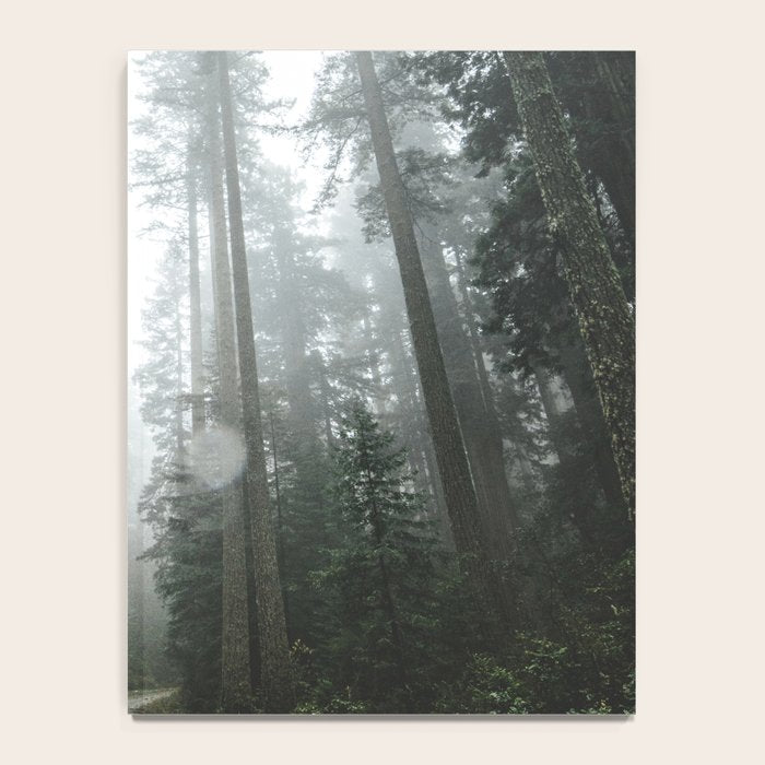 The Redwood Road Notebook Gallery Image 4