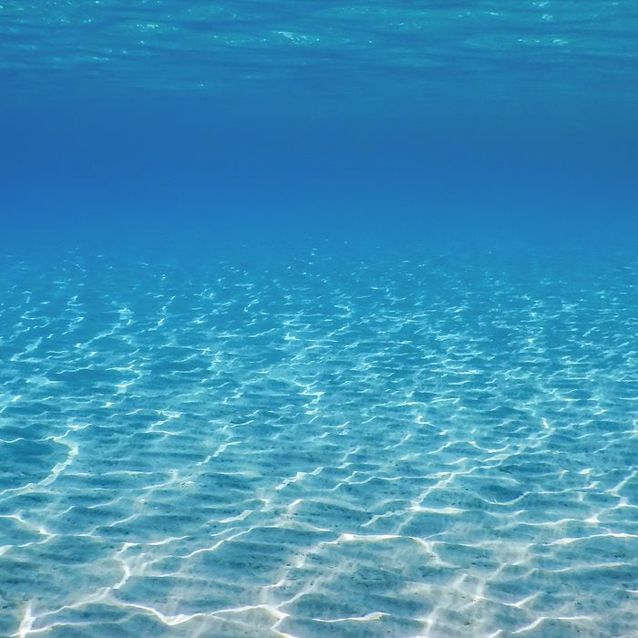 Underwater Blue Ocean, Sandy sea bottom Underwater background Coffee Mug Gallery Image 2