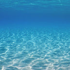 Underwater Blue Ocean, Sandy sea bottom Underwater background Coffee Mug Gallery Image 2