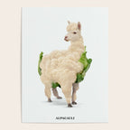 Alpacauli Poster Gallery Image 4