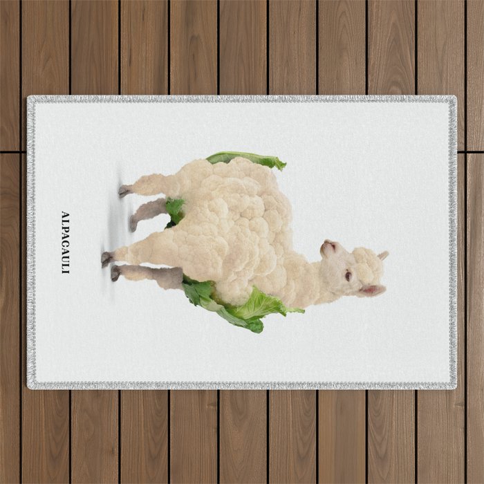 Alpacauli Outdoor Rug Gallery Image 1