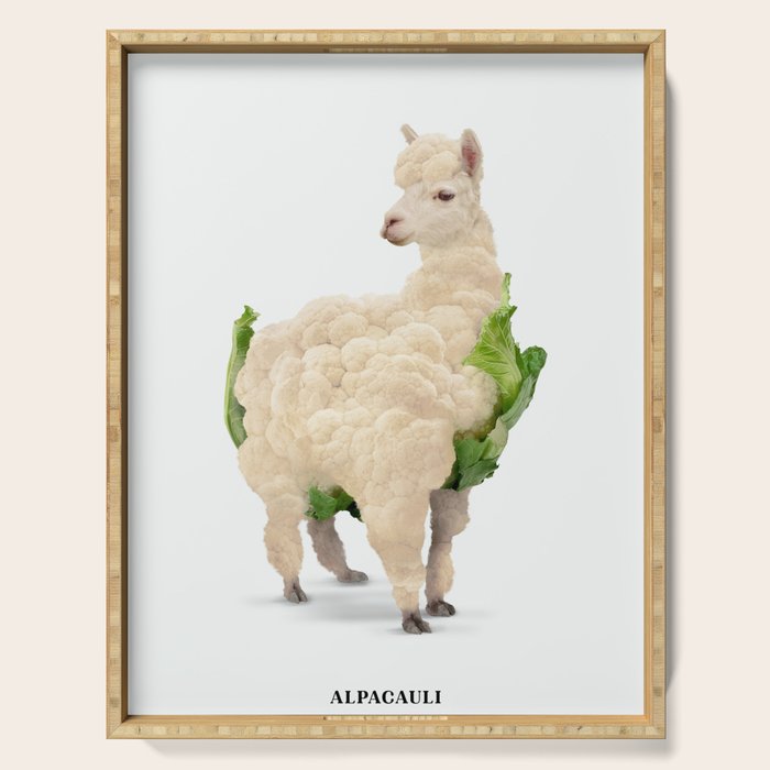 Alpacauli Serving Tray Gallery Image 1