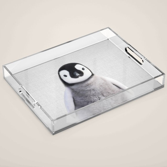 Baby Penguin - Colorful Acrylic Tray Gallery Image 1