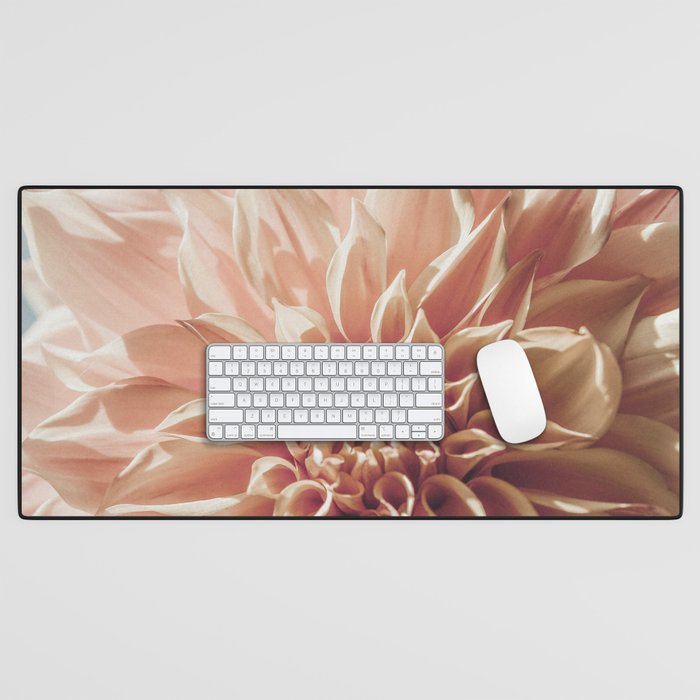 Always the Optimist  pink dahlia botanical flower photograph Desk Mat Gallery Image 1