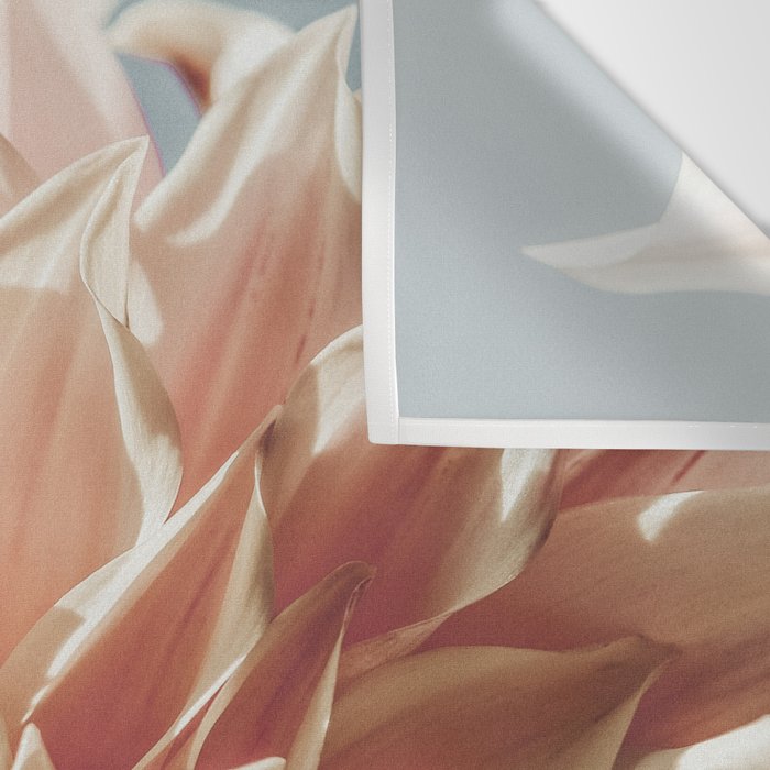 Always the Optimist  pink dahlia botanical flower photograph Wall Tapestry Gallery Image 3