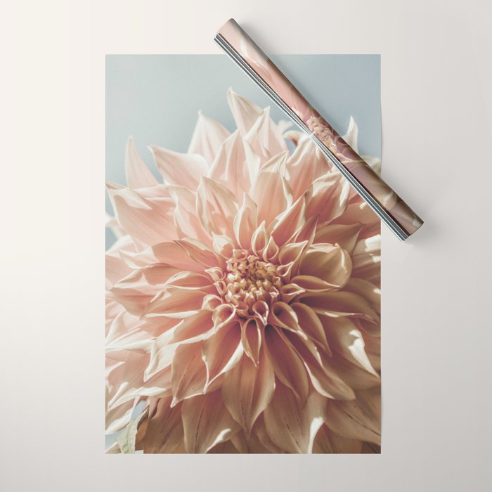 Always the Optimist  pink dahlia botanical flower photograph Wrapping Paper Gallery Image 1