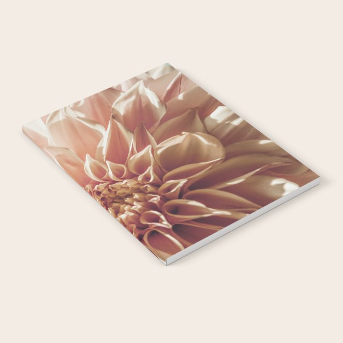 Always the Optimist  pink dahlia botanical flower photograph Notebook Gallery Image 1