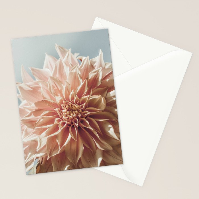 Always the Optimist  pink dahlia botanical flower photograph Stationery Card Gallery Image 2